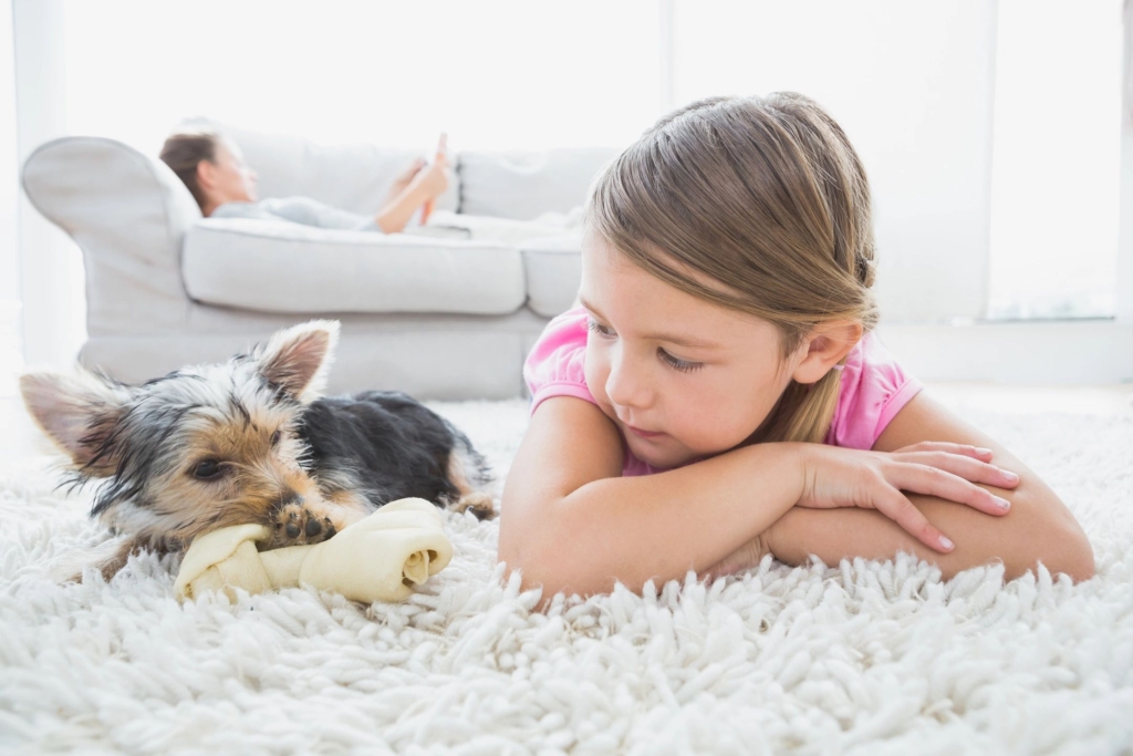 Child And Dog on Carpet